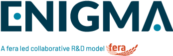 Enigma-logo-tag-colour