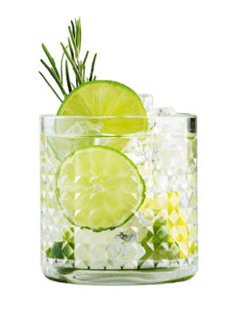 Vodka-Drink