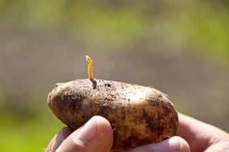 shutterstock_1166100592