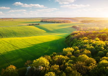 green field