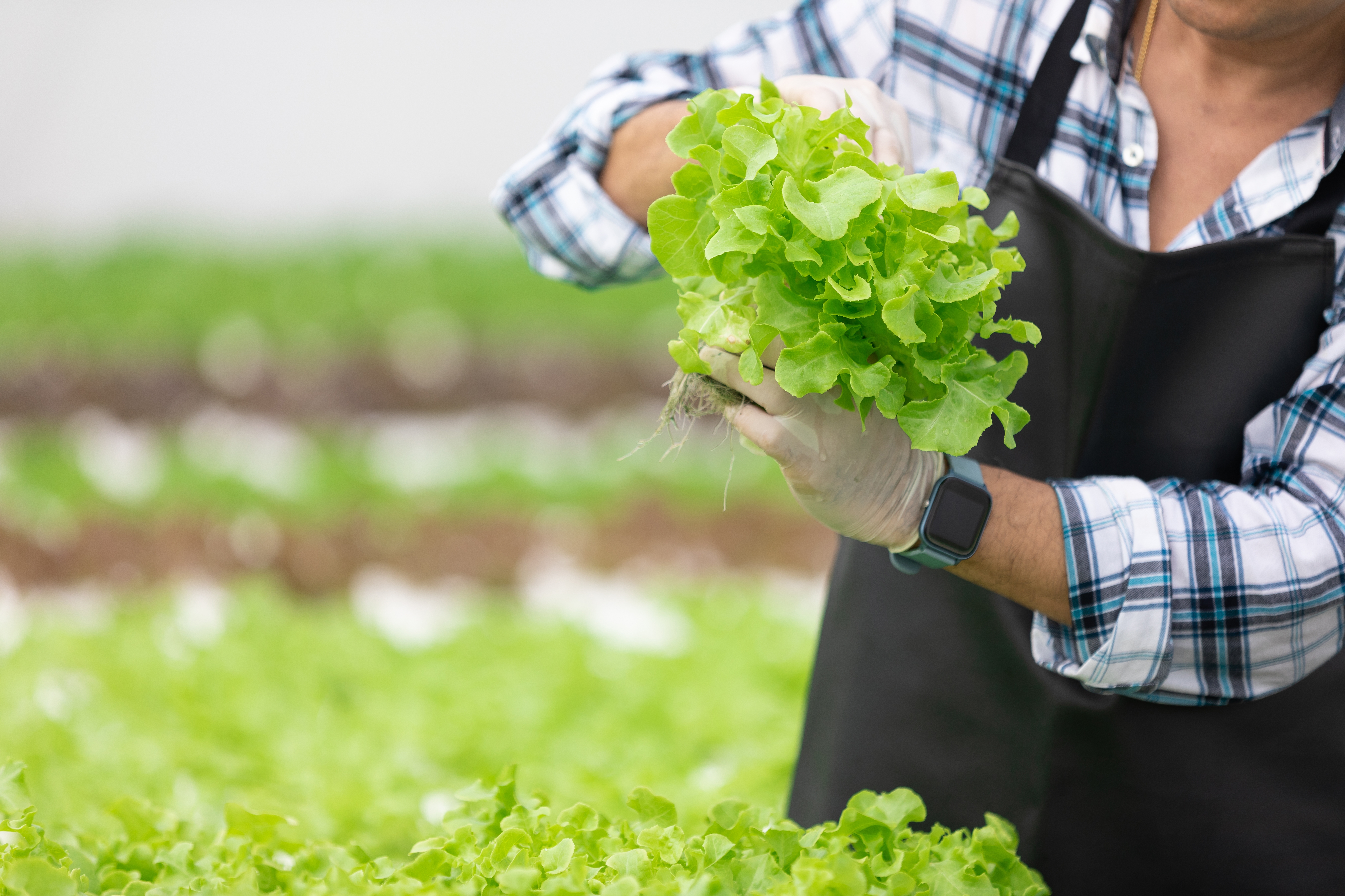 How Enigma is helping farmers improve productivity