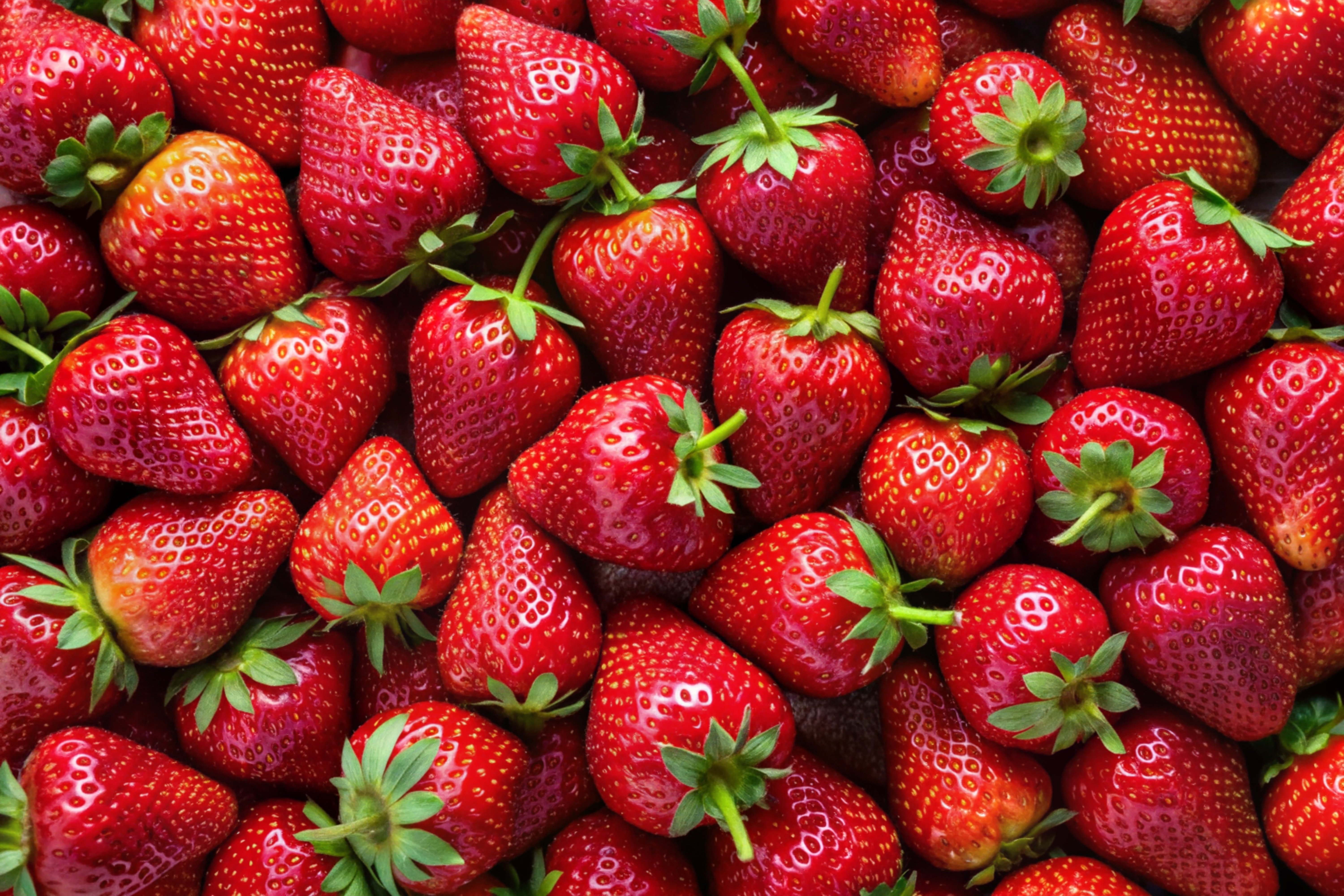 Precision Breeding: Navigating Regulation and Unlocking Innovation with Confidence
