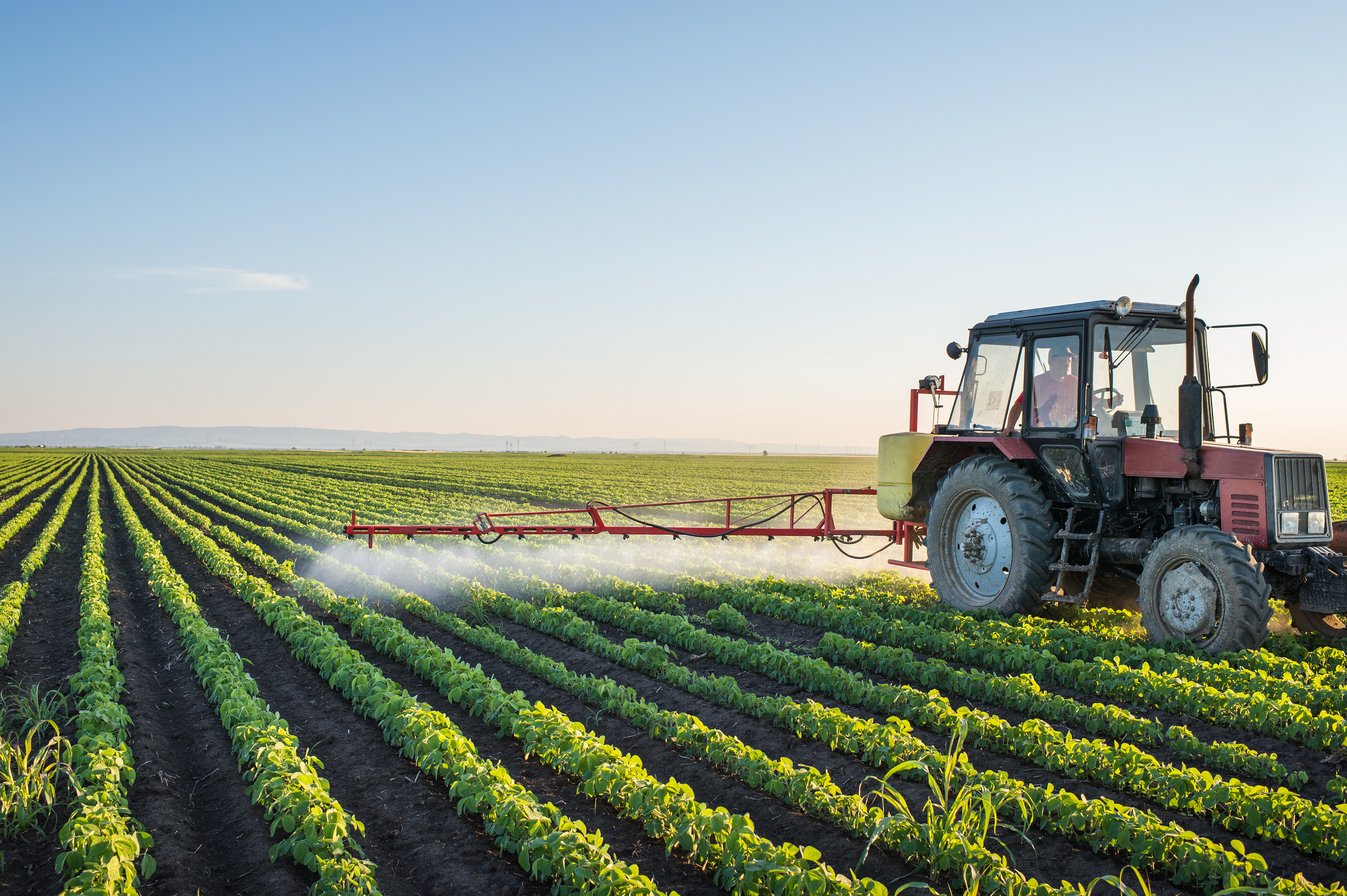 Top 5 Regulatory Shifts from CIR 2025 and Their Impact on the Chemicals and PPP Landscape